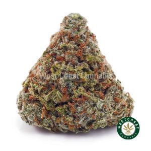 Buy weed Cherry Punch AAA wccannabis weed dispensary & online pot shop