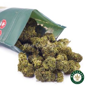 Buy weed Mystery AA - Cannabis Pack Oz (Popcorn Nugs) wccannabis weed dispensary & online pot shop
