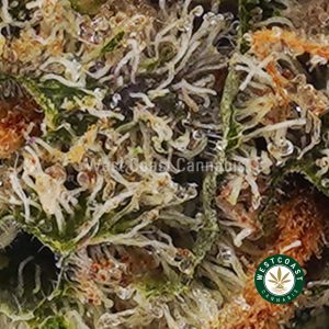 Buy weed Tropical Zkittlez AAA wccannabis weed dispensary & online pot shop