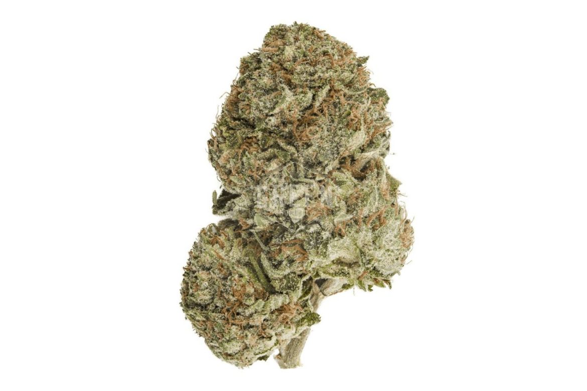 This guide is your one-stop shop for all the must-know facts on the Grease Monkey strain. We'll cover THC level, terpene profile, effects & aromas.