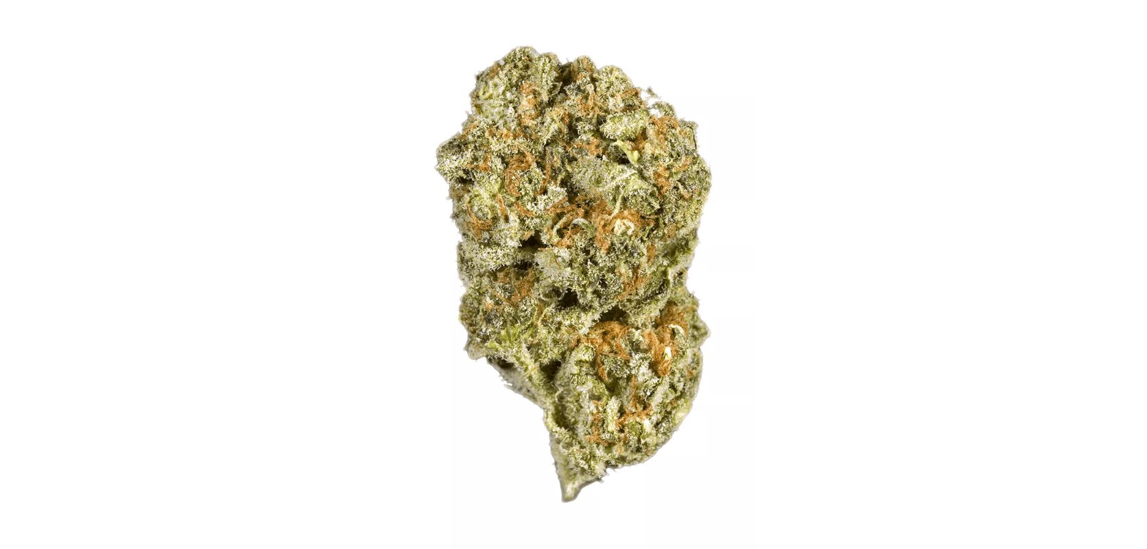 The Trainwreck strain is like a fun train trip for your senses, giving you a great mix of tastes and smells. 