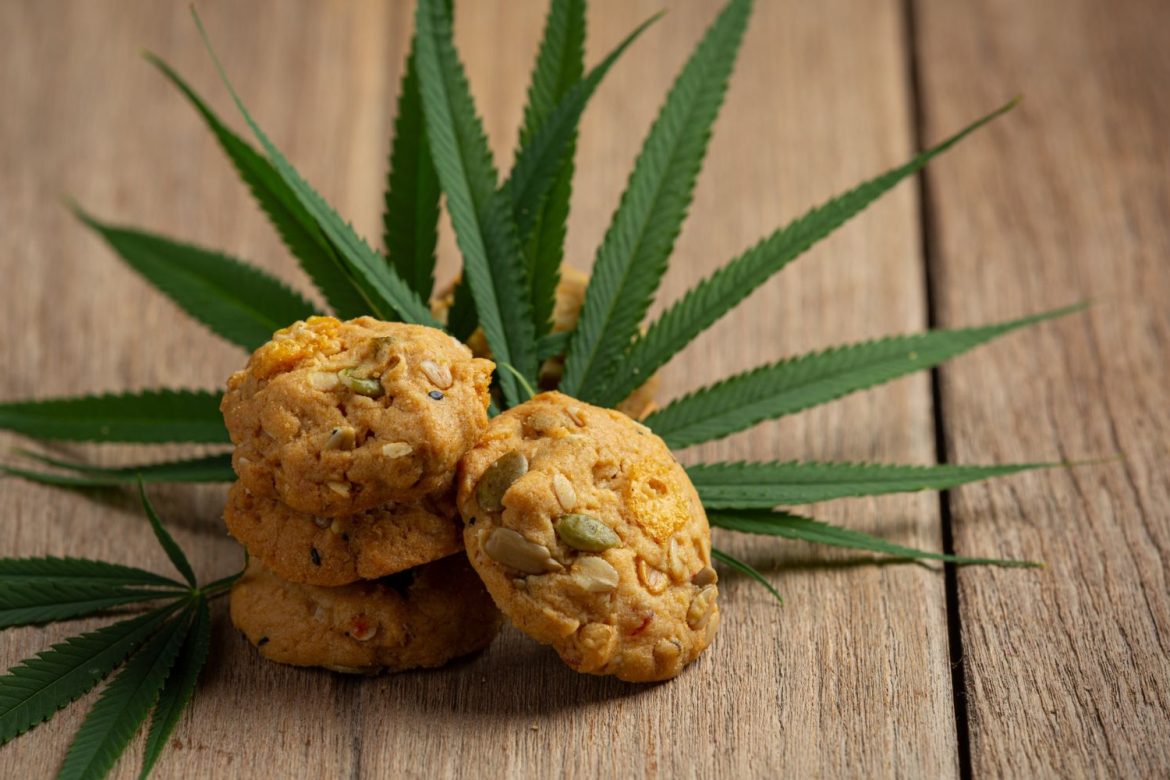 Indulge your sweet tooth while taking your canna experience to completely new heights with our guide to delicious and highly potent baked edibles. 