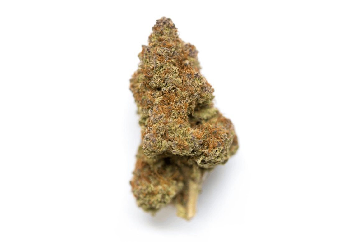 Hop on the Ghost Train Haze, a Sativa-dominant strain that promises an exhilarating journey through the realm of elevated spirits and excitement!