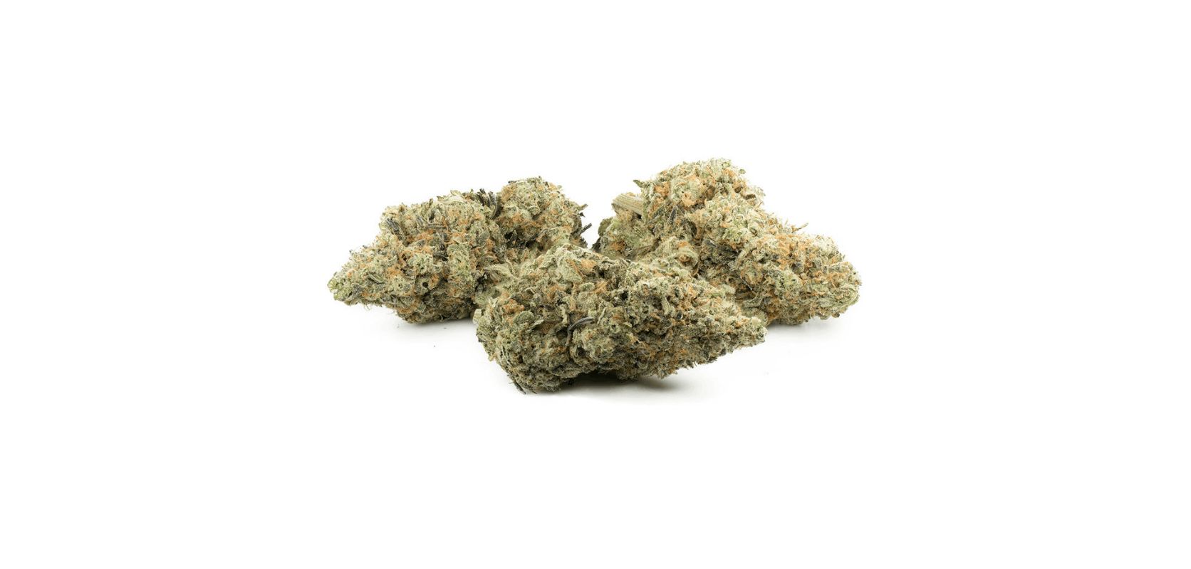 Similar to the Blueberry Kush strain, the high delivered by Ghost Train Haze is known to be powerful and long-lasting, taking you on a captivating journey that lasts for hours. 