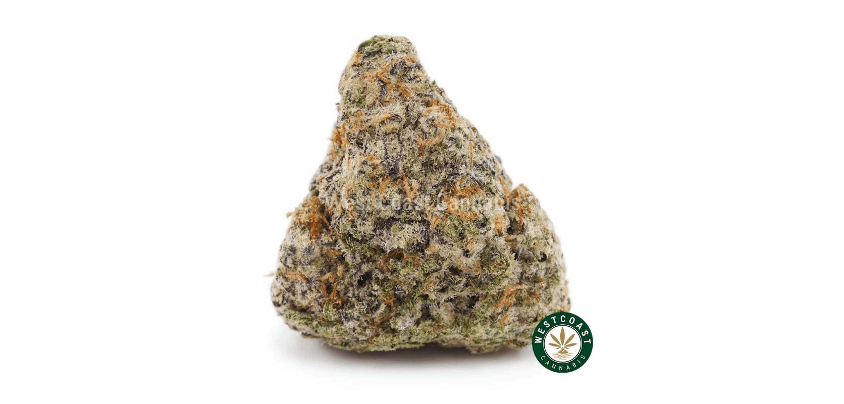 Similar to the Ghost Train Haze, this bud delivers an irresistible and refreshing taste of citrus, immersing you in a world of tangy goodness. 