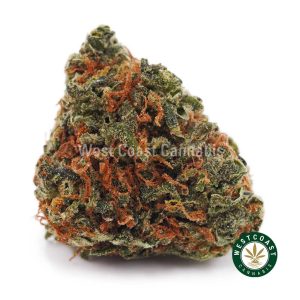 Buy weed Orange Creamsicle AA wccannabis weed dispensary & online pot shop