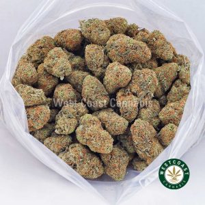 Buy weed Girl Scout Cookies (GSC) AAAA wccannabis weed dispensary & online pot shop