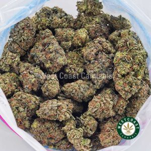 Buy weed Stardawg AAA wccannabis weed dispensary & online pot shop