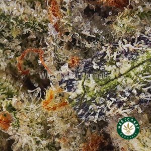 Buy weed Tahoe OG AAA wccannabis weed dispensary & online pot shop