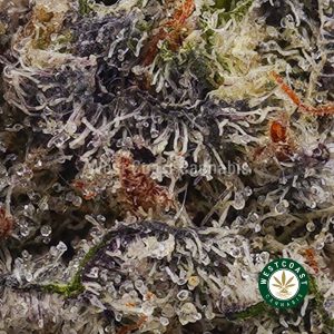 Buy weed Snow White AAAA wccannabis weed dispensary & online pot shop