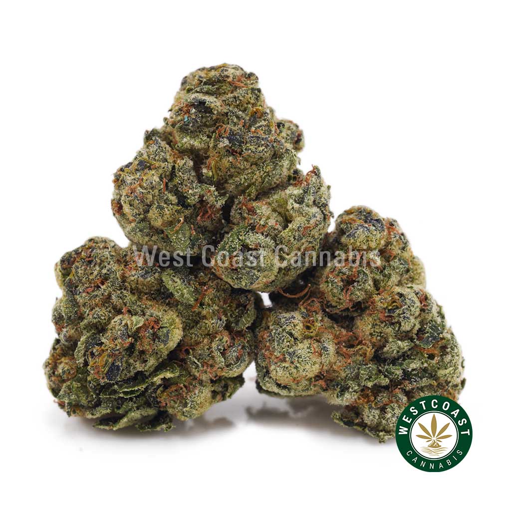 Buy weed Jet Fuel Gelato AAAA (Popcorn Nugs) wccannabis weed dispensary & online pot shop