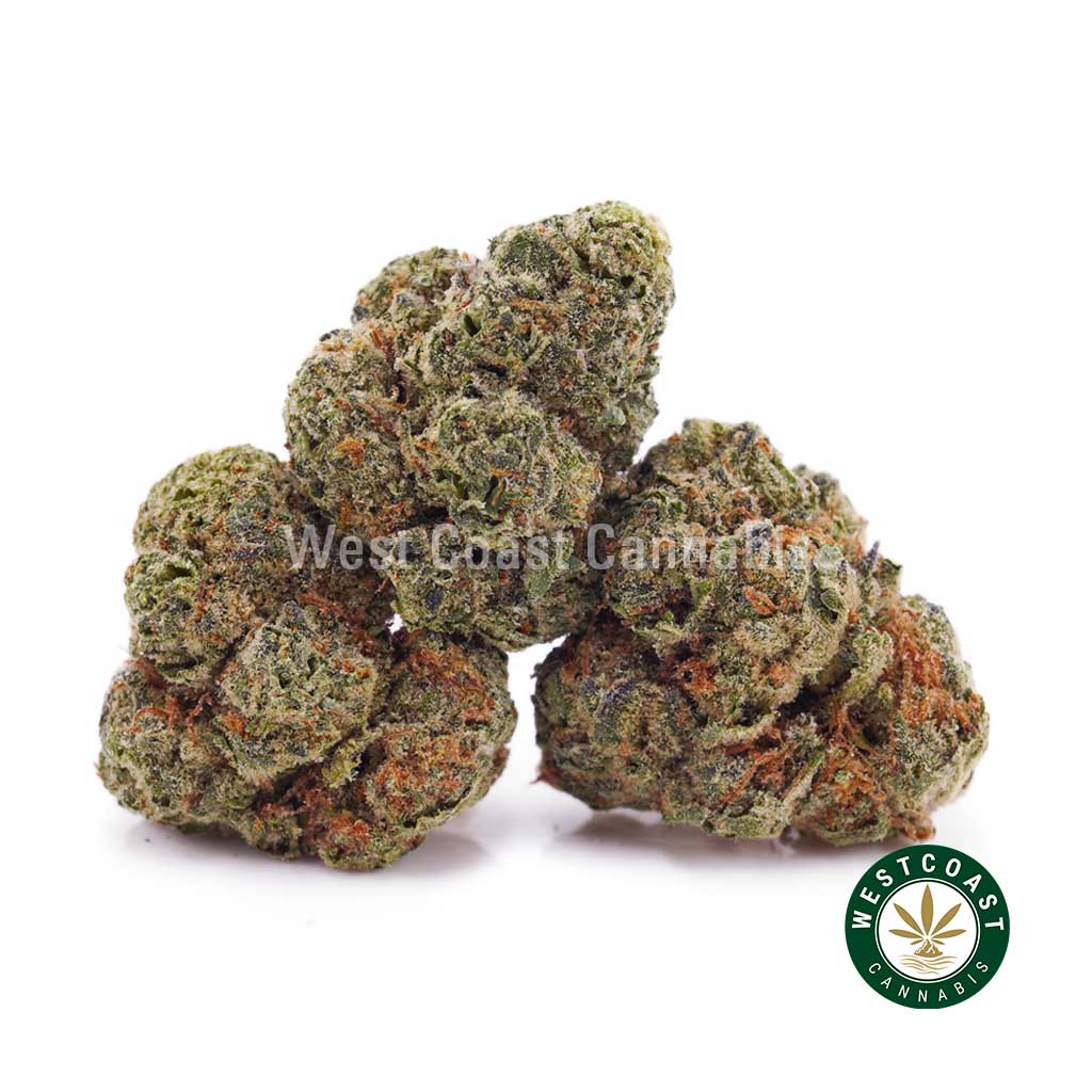 Buy weed Mandarin Cookies AAA (Popcorn Nugs) wccannabis weed dispensary & online pot shop