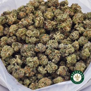 Buy weed Bubba Kush AAAA (Popcorn Nugs) wccannabis weed dispensary & online pot shop