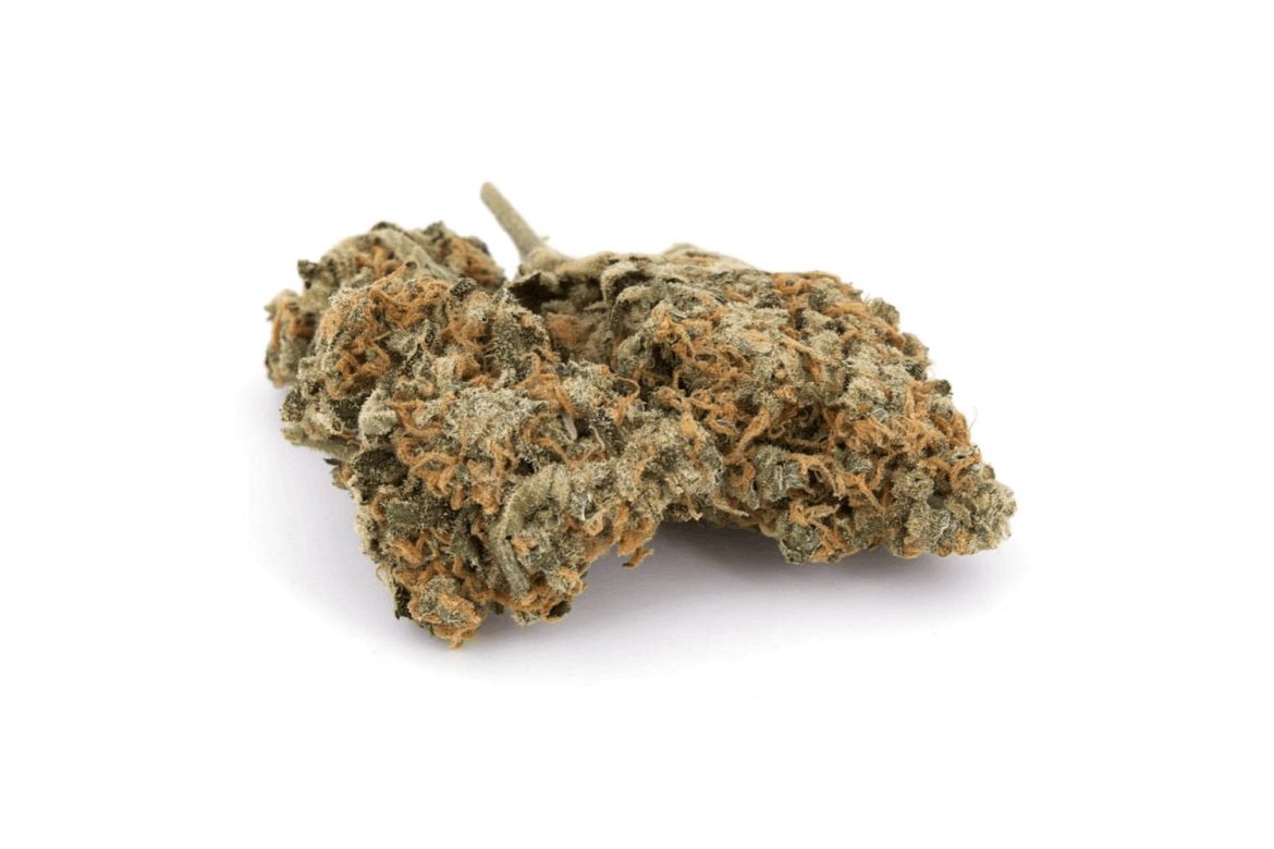The Red Congolese strain is a sativa cannabis bud with incredible effects. This strain, popularized in California, is known for its bold cerebral buzz and energetic, creative high. 