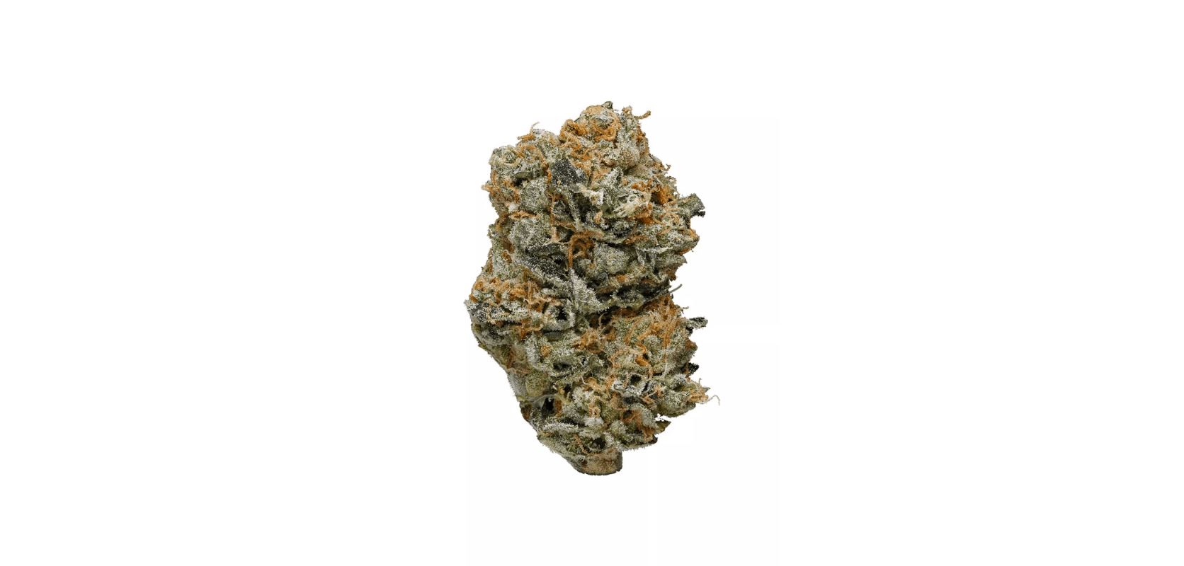 Buy weed online in Canada and find buds like the Blue Cheese strain. Shop at an online dispensary and get your hands on the finest and most potent Indicas such as the Blue Cheese weed.