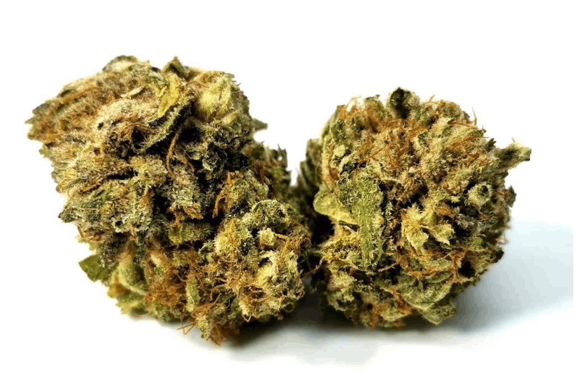 Educate yourself, buy weed online, and get a taste of the best Blue Cheese strain out there! Scroll on!