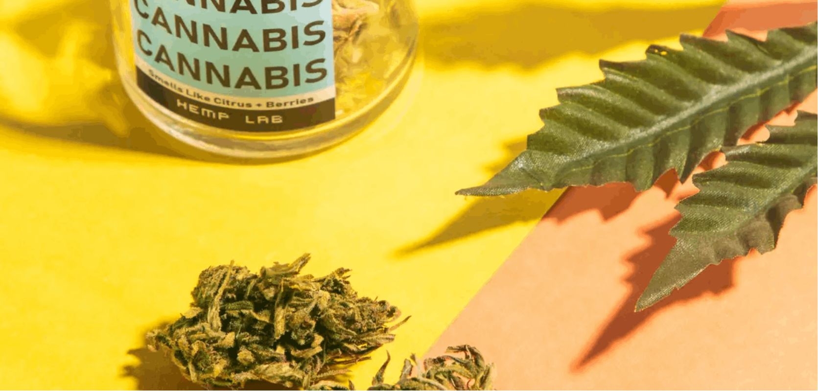 Now that you know where you can buy the best BC cannabis in Canada, we thought we’d give you a few tips to help you shop for the best weed. 