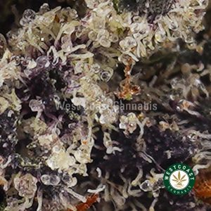 Buy weed Northern Lights AAAA (Popcorn Nugs) wccannabis weed dispensary & online pot shop