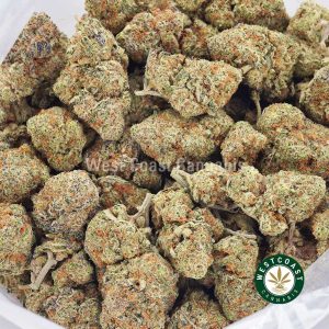 Buy weed Platinum Cookies AAAA wccannabis weed dispensary & online pot shop