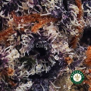 Buy weed Purple Dream AAAA wccannabis weed dispensary & online pot shop