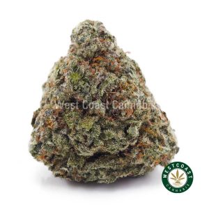 Buy weed Strawberry Guava AAA wccannabis weed dispensary & online pot shop