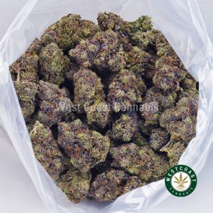 Buy weed Purple Tuna AAAA wccannabis weed dispensary & online pot shop