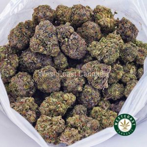 Buy weed Purple Gasoline AAAA wccannabis weed dispensary & online pot shop