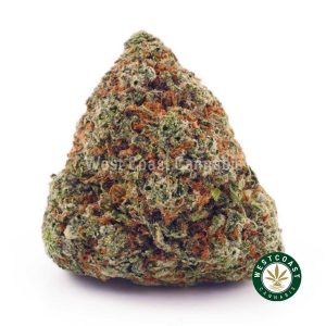 Buy weed Purple Rockstar AAAA wccannabis weed dispensary & online pot shop