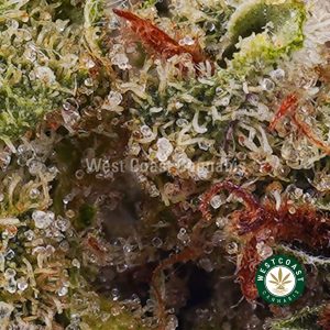 Buy weed Fruit Punch AA wccannabis weed dispensary & online pot shop