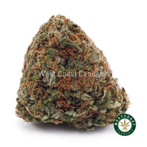 Buy weed Blueberry Bomb AAA wccannabis weed dispensary & online pot shop