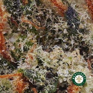 Buy weed Space Cookies AAA wccannabis weed dispensary & online pot shop