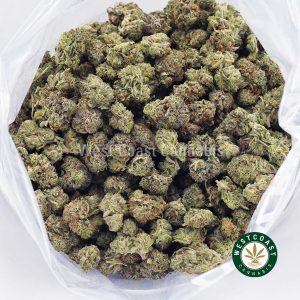 Buy weed Supreme Gas AAAA (Popcorn Nugs) wccannabis weed dispensary & online pot shop