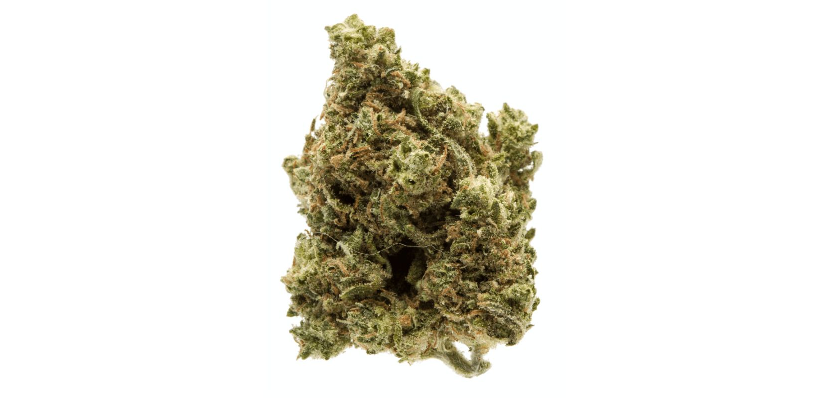 Buy weed online from an experienced dispensary and get the most potent Blue Cheese weed of your life!