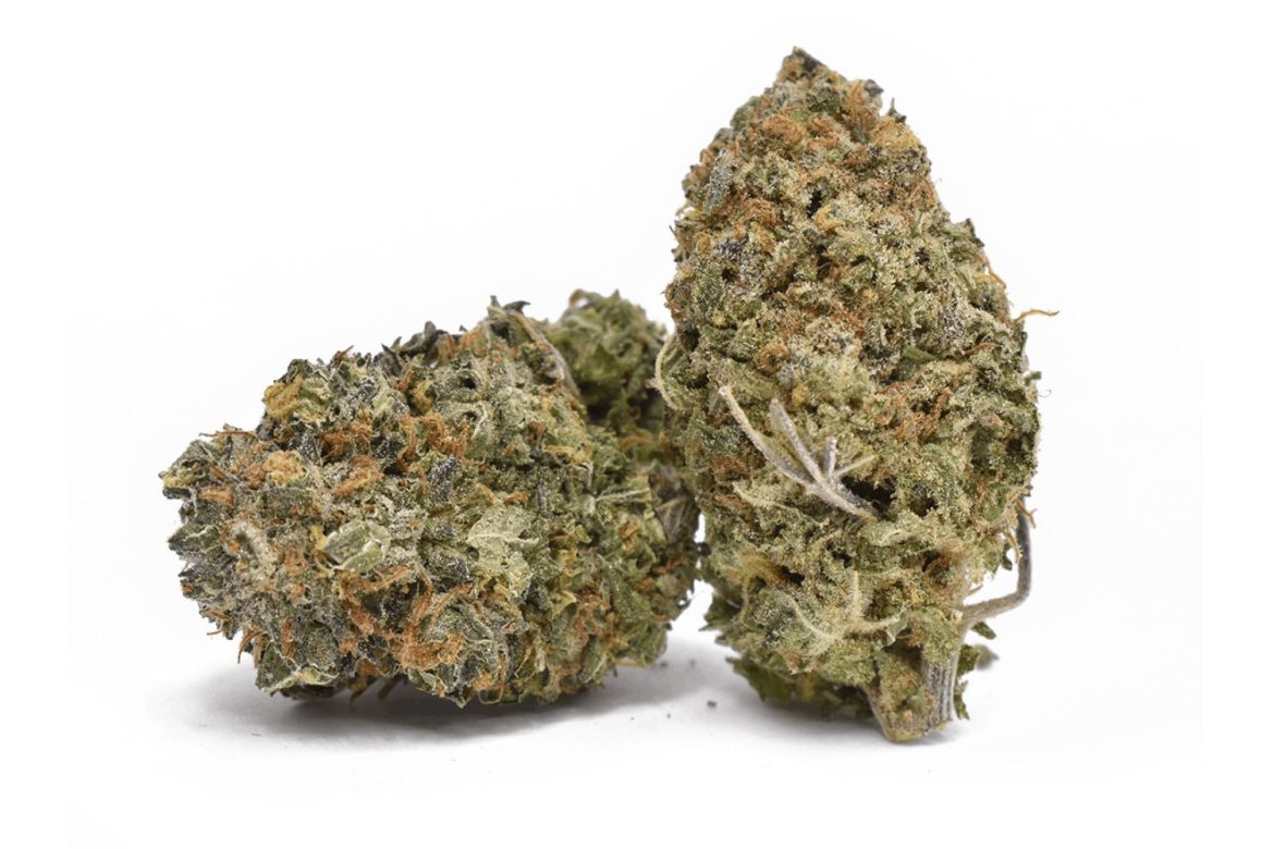 Durban Poison strain is a sativa bud that has captivated the minds of cannabis enthusiasts for decades. 