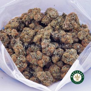 Buy weed Black Cherry Punch AAAA wccannabis weed dispensary & online pot shop