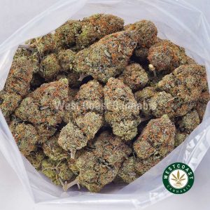 Buy weed Gary Payton AAAA wccannabis weed dispensary & online pot shop