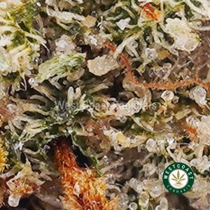Buy weed Girl Scout Cookies (GSC) AA wccannabis weed dispensary & online pot shop