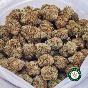 Buy weed Girl Scout Cookies (GSC) AA wccannabis weed dispensary & online pot shop