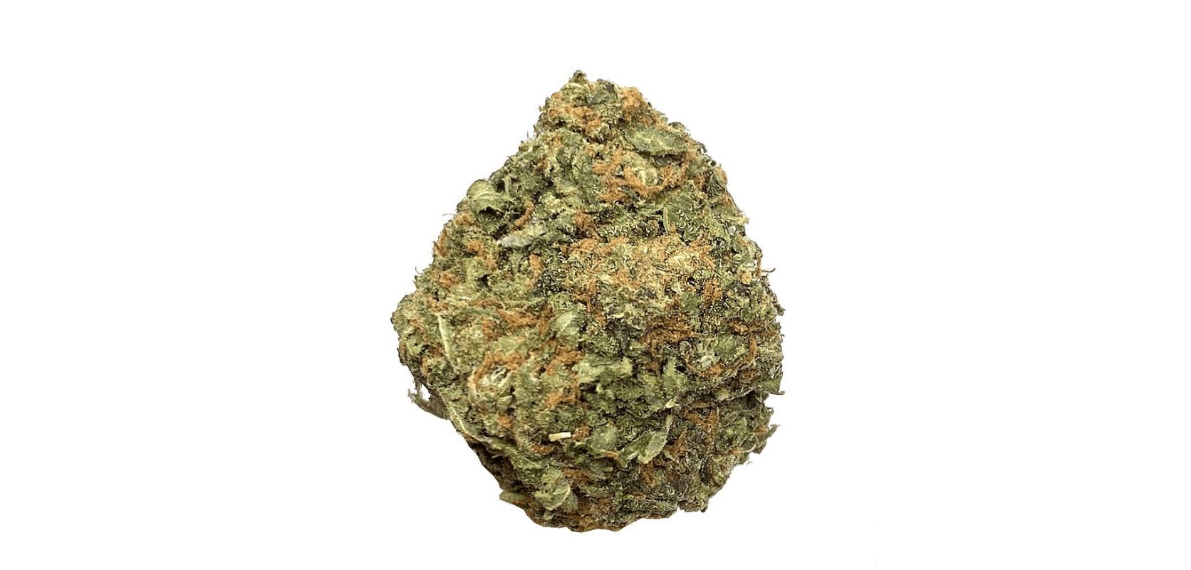 Rockstar Kush is more than just a cannabis strain; it's a show-stopping performance, a sensory experience that extends far beyond its intriguing flavour profile. 