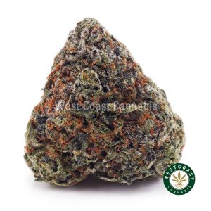 Buy weed Gas Face AAA wccannabis weed dispensary & online pot shop
