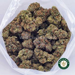 Buy weed Gas Face AAA wccannabis weed dispensary & online pot shop