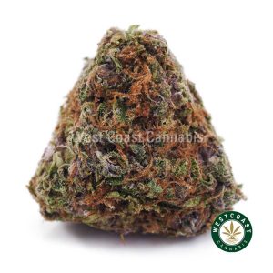 Buy weed Purple Amnesia AA wccannabis weed dispensary & online pot shop