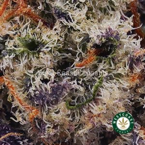 Buy weed Dragonfruit Gelato AAAA wccannabis weed dispensary & online pot shop