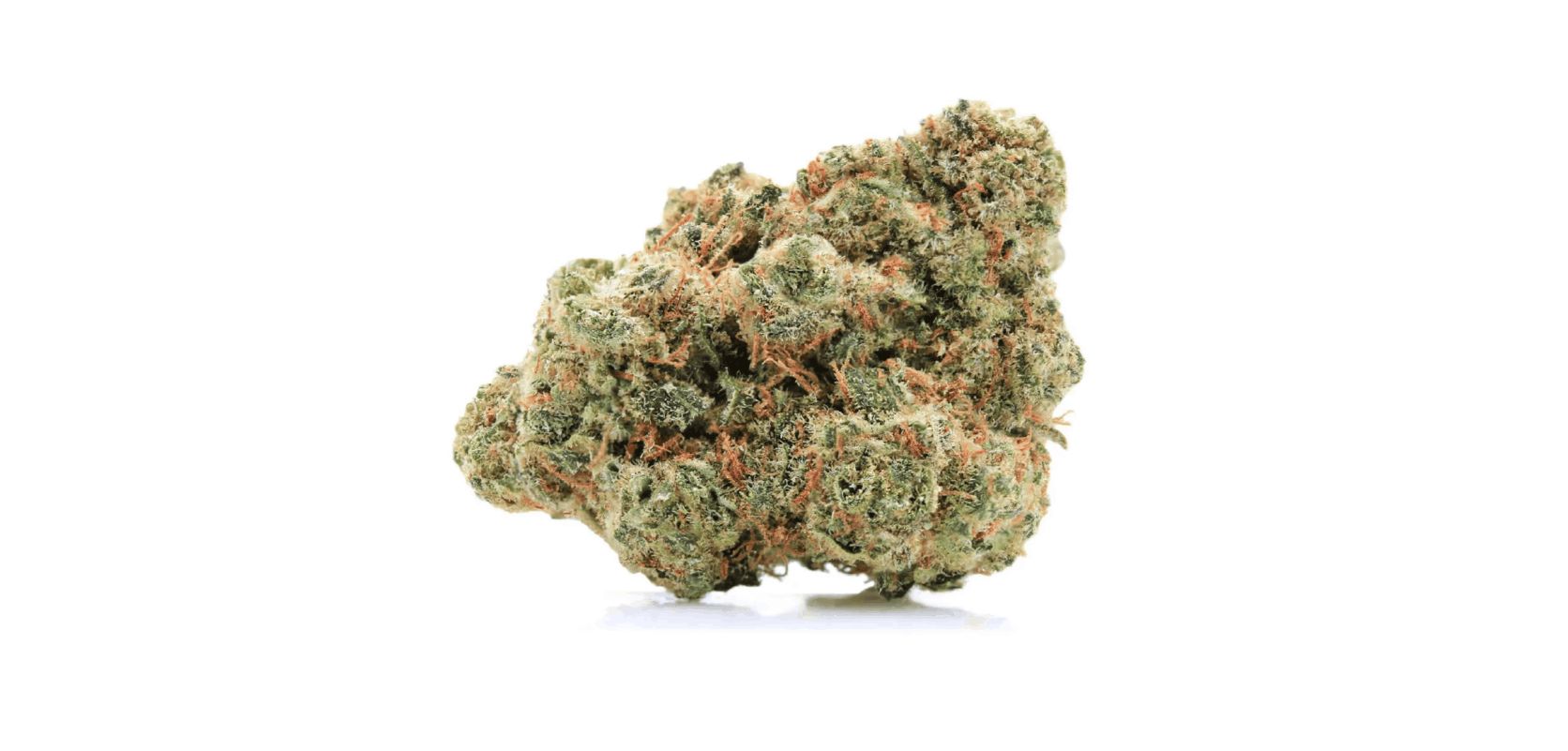 The Rockstar Kush strain is known for its rich terpene profile, characterized primarily by a fusion of Myrcene, Limonene, and Caryophyllene. 