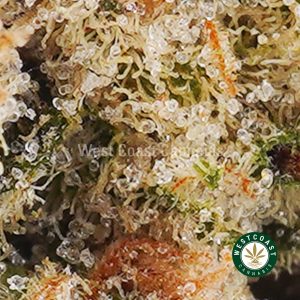 Buy weed Tangerine Haze AAA wccannabis weed dispensary & online pot shop