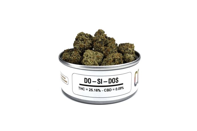 As we plunge headlong into the riveting world of Do Si Do strain review with a side of mail order weed intro, be ready to be enchanted, amazed, and tremendously entertained. 