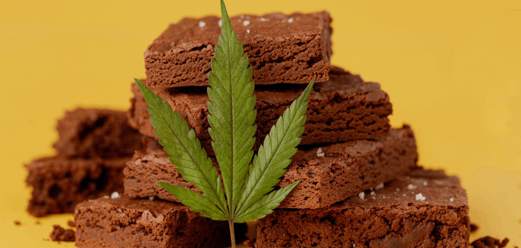Personal preference is the key factor when choosing the best cannabis strain for your brownies with weed.