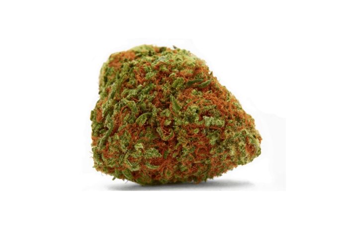 Our review focuses on the medical benefits of Master Kush. In this Master Kush strain review, you will learn about the seven key health advantages this strain offers. 