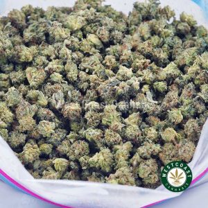 Buy weed Fruit Loops AAAA (Popcorn Nugs) wccannabis weed dispensary & online pot shop