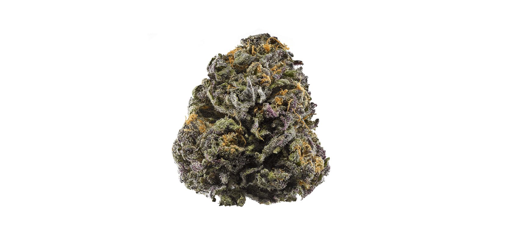 The unique sensorial journey that the Grand Daddy Purple strain offers is primarily influenced by its distinct terpene profile. 